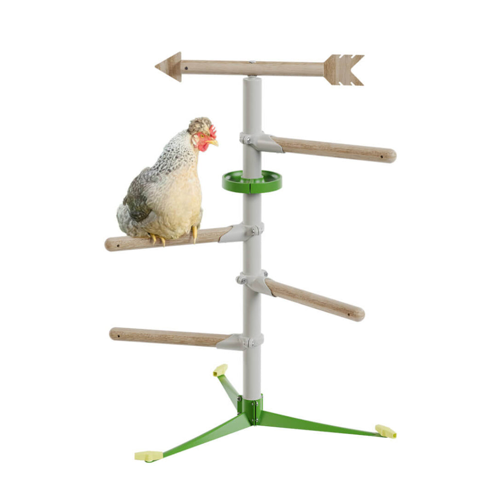 Freestanding Chicken Perch | Omlet