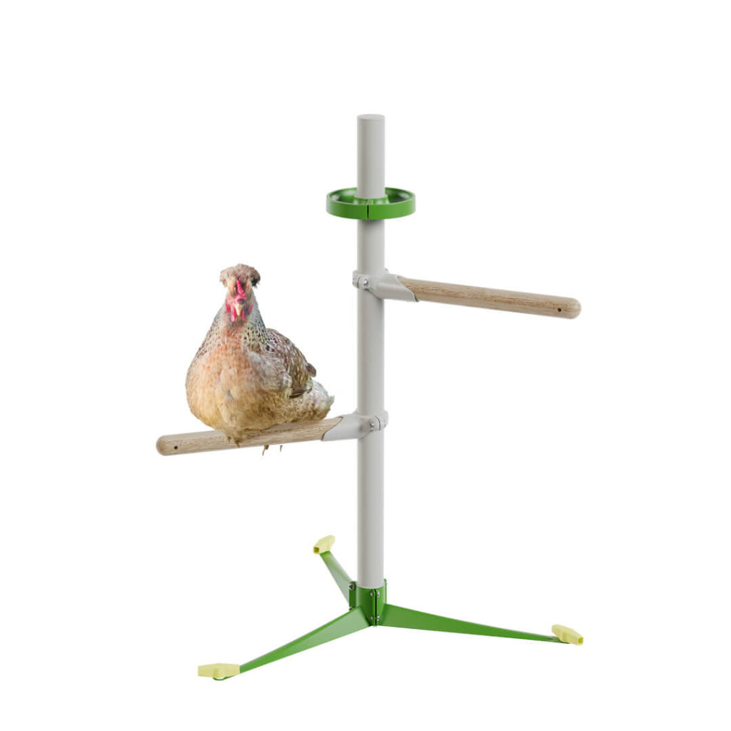 Freestanding Chicken Perch | Omlet