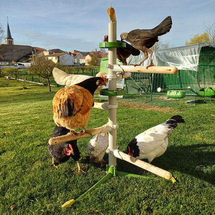 Omlet Customisable Freestanding Chicken Perch 