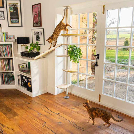 Choose the Freestyle Cat Tree pole kit that fits your room, and attach accessories of your choice for your cat to enjoy