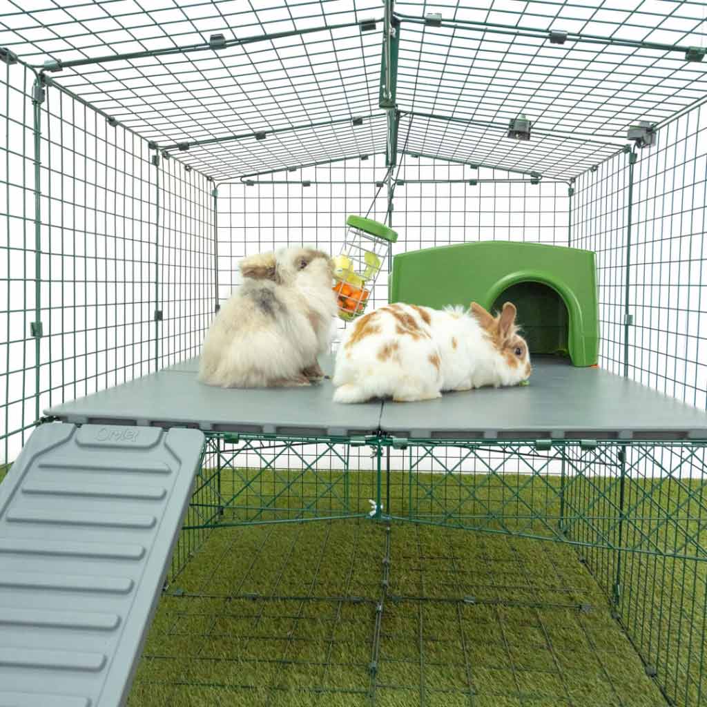 Safe, secure Zippi rabbit run with Zippi rabbit platform and rabbit shelters