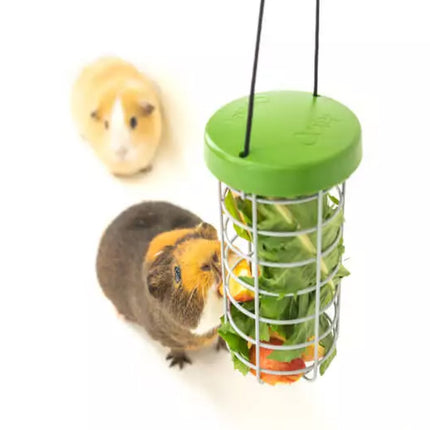 It is important to give your pets a balanced diet each day to help them maintain their activity levels and dental health