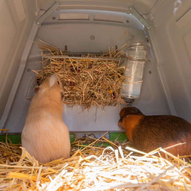 Keep their treats and feed off the ground and clean inside Omlet Hay Rack in the Eglu Go Hutch