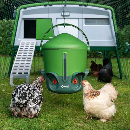 Hanging the Omlet Insulated Chicken Waterer in the chicken run is made easy with the Omlet adjustable hanger