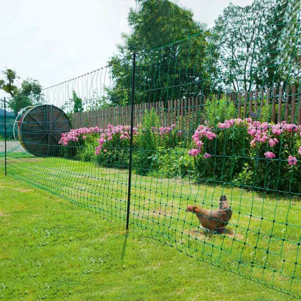 Hen contained behind chicken fencing by Kerbl