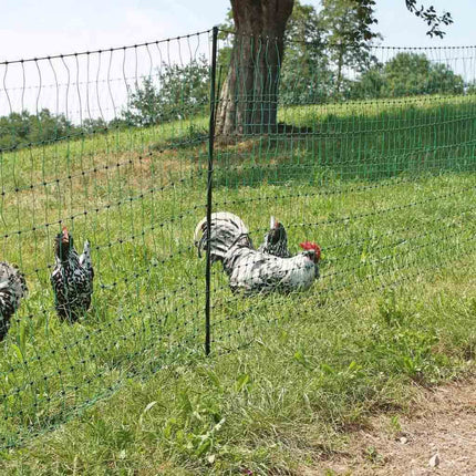 Poultry fencing