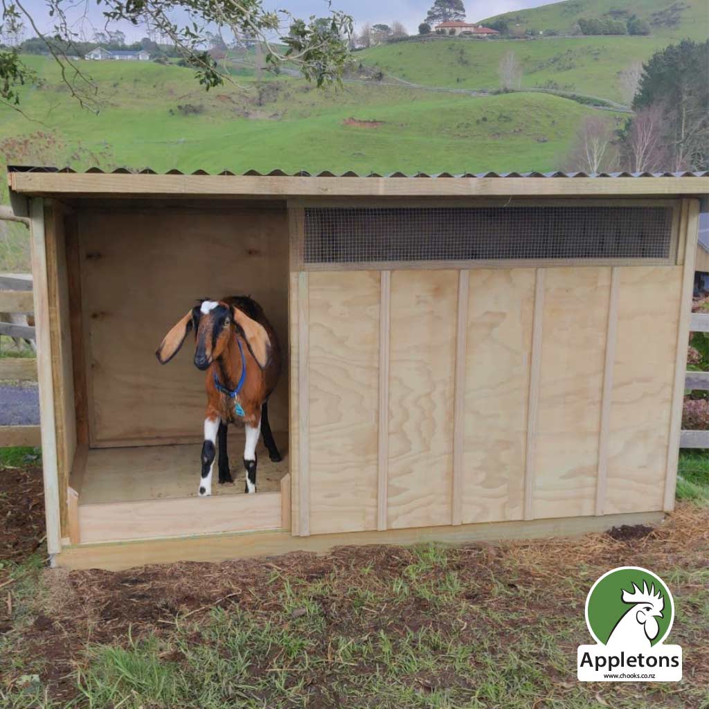 Appletons Goat Shelter for protection from the elements