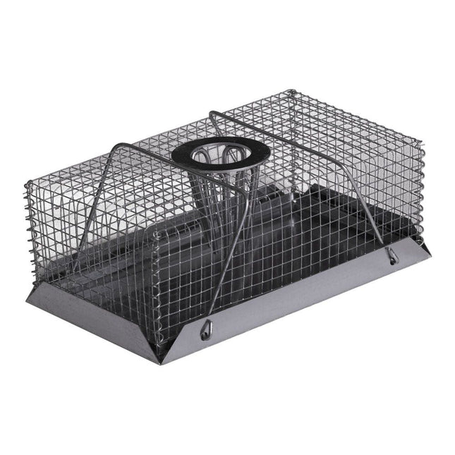 Very effective mouse trap.