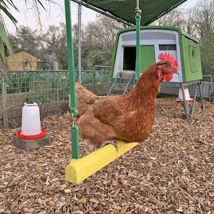 Omlet chicken swing poultry toy for chicken coops and runs