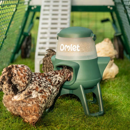 The Omlet no waste 2.5kg chicken feeder fits perfectly in your chicken run