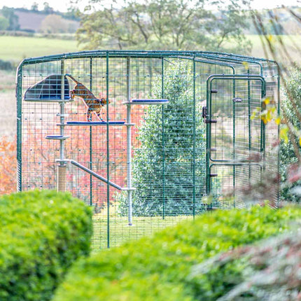 Omlet Catios allow cats of all breeds, ages and abilities to play,  exercise and safely experience the great outdoors