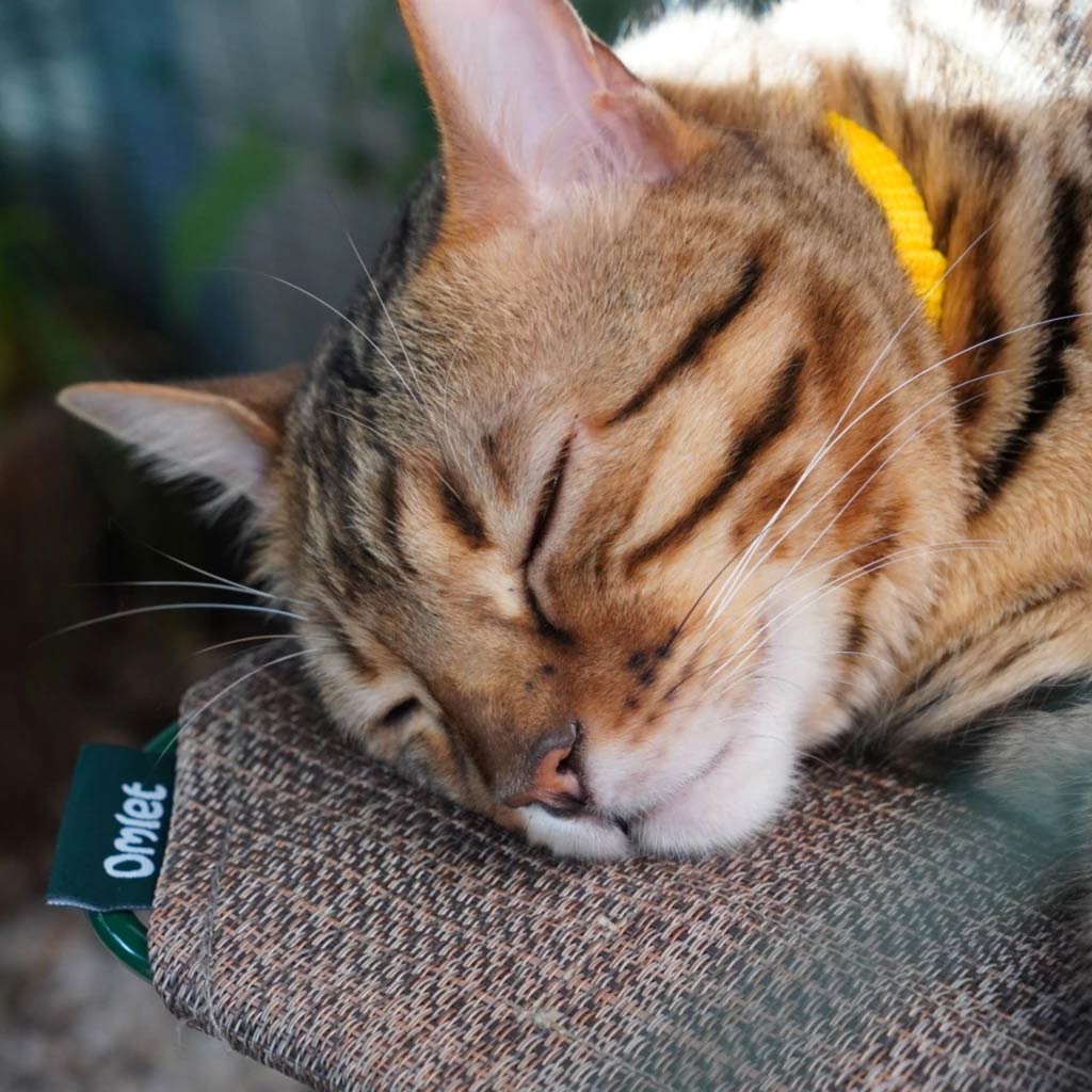 New design Omlet cat shelves are UV stable and claw resistant