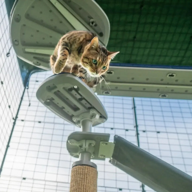 Omlet Freestyle Outdoor Cat Tree