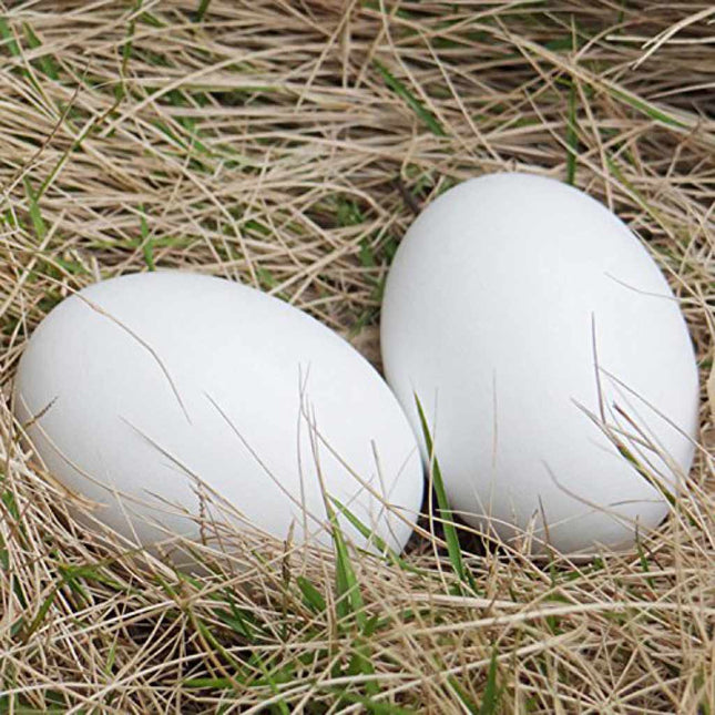 Wooden Nest Eggs (A Pair)