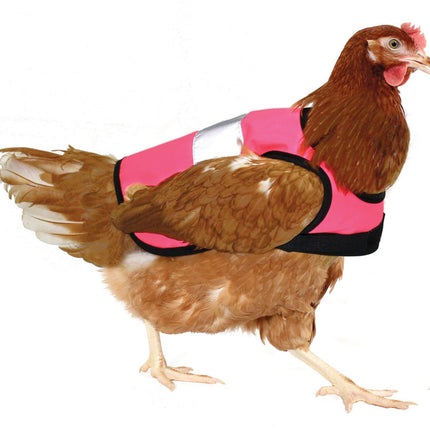 Omlet Hi-Vis Chicken Jackets Pink