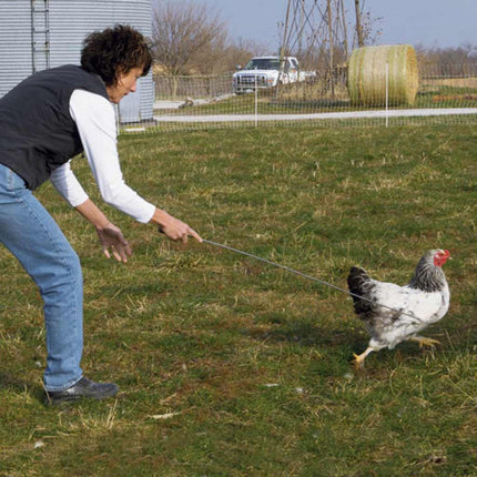 Poultry Crook - Chicken Catch Hook