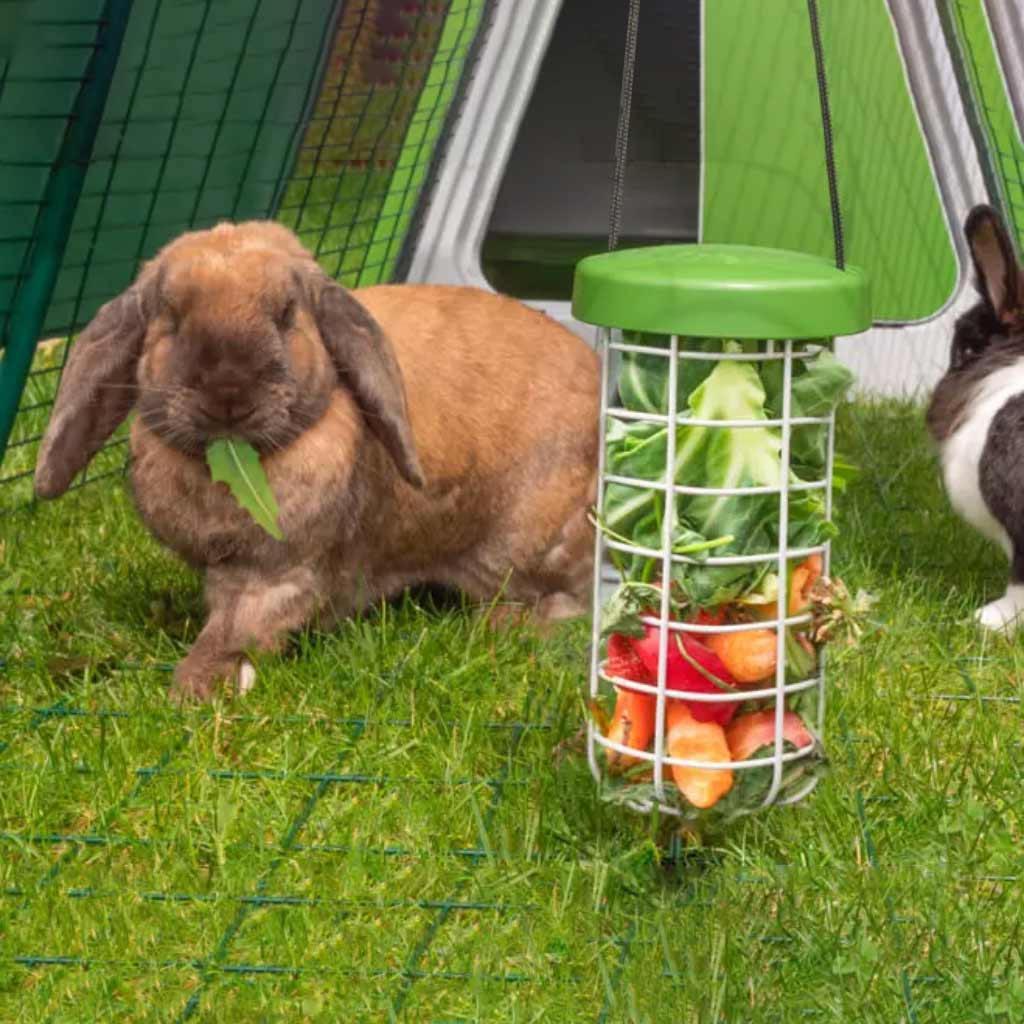 It is quick and straightforward to detach the feeder for cleaning and refilling.