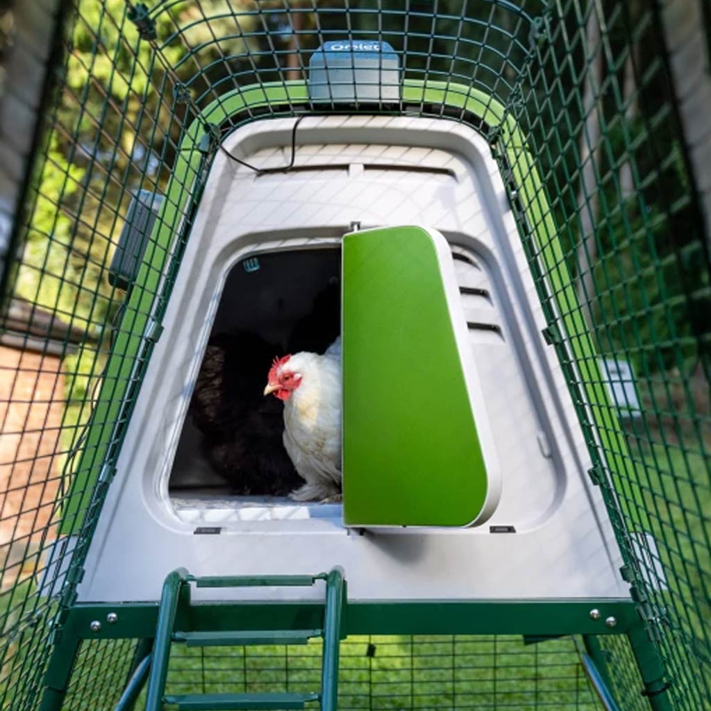 Set your coop opening times with the Eglu Go & Go Up chicken coop autodoor system