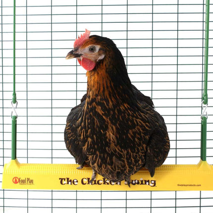 The Chicken Swing