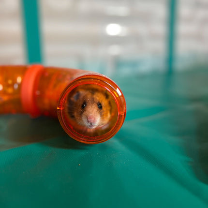 Take the adventure to your tiny pets with an Omlet Habitat Tunnel Kit