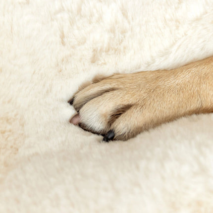 Topology Sheepskin Topper