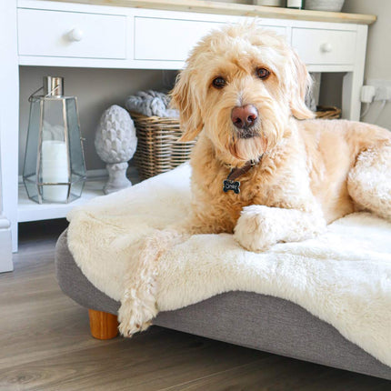 Topology | Luxury Dog Bed With Customisable Toppers and Feet