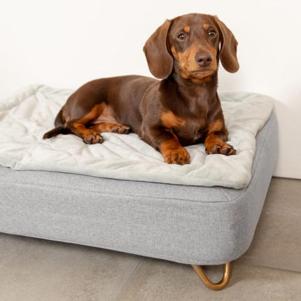 Topology | Luxury Dog Bed With Customisable Toppers and Feet