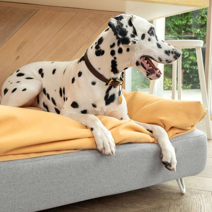 Topology | Luxury Dog Bed With Customisable Toppers and Feet