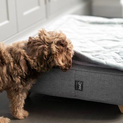 Topology | Luxury Dog Bed With Customisable Toppers and Feet