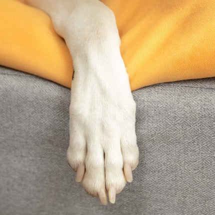 Topology Bean Bag Topper