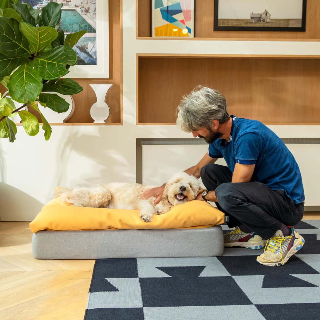 Topology Bean Bag Topper