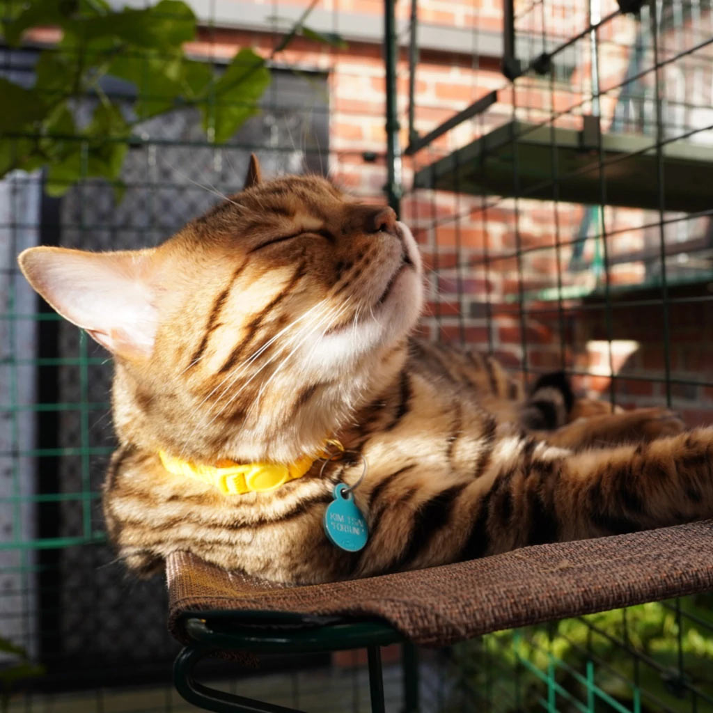 Omlet weatherproof outdoor cat shelves made from strong lightweight steel frame and texteline cover