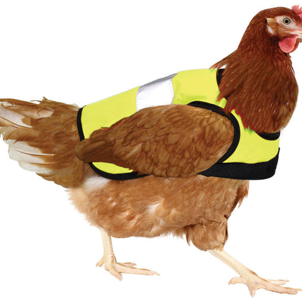 Omlet Hi-Vis Chicken Jackets Yellow