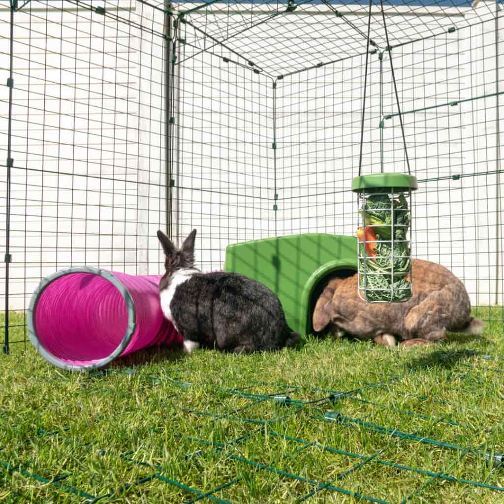 The Zippi rabbit shelter makes a fun and enriching accessory your pets will love