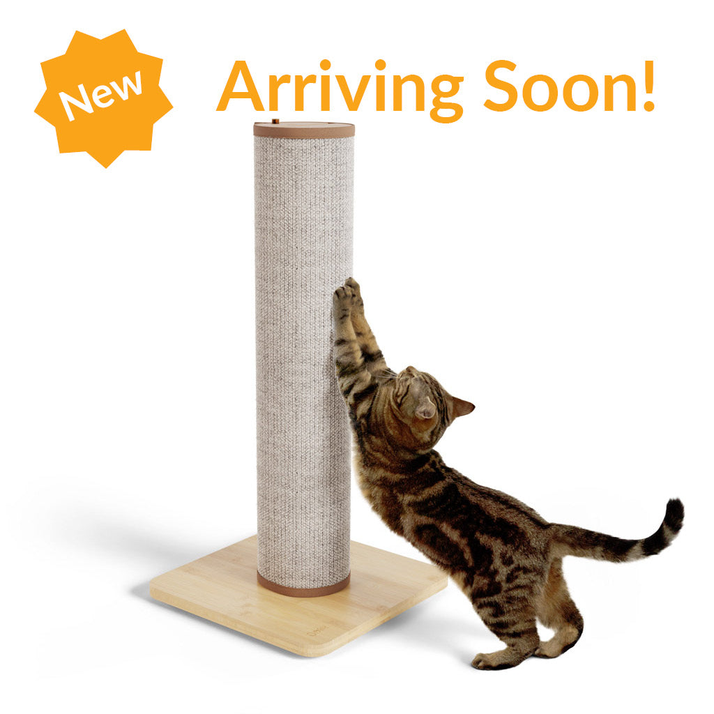 Switch Cat Scratching Post