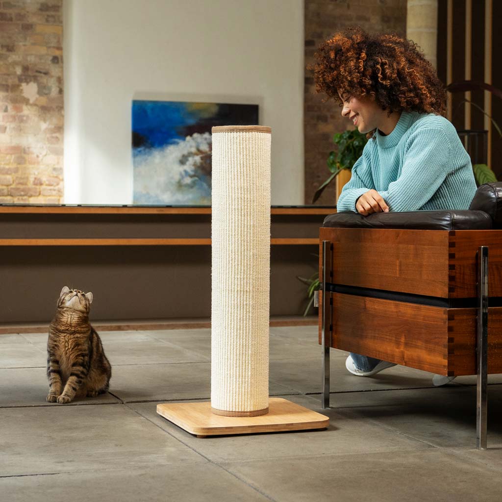 The variable light show captivates cats. Switch Light Up LED Cat Scratching Post