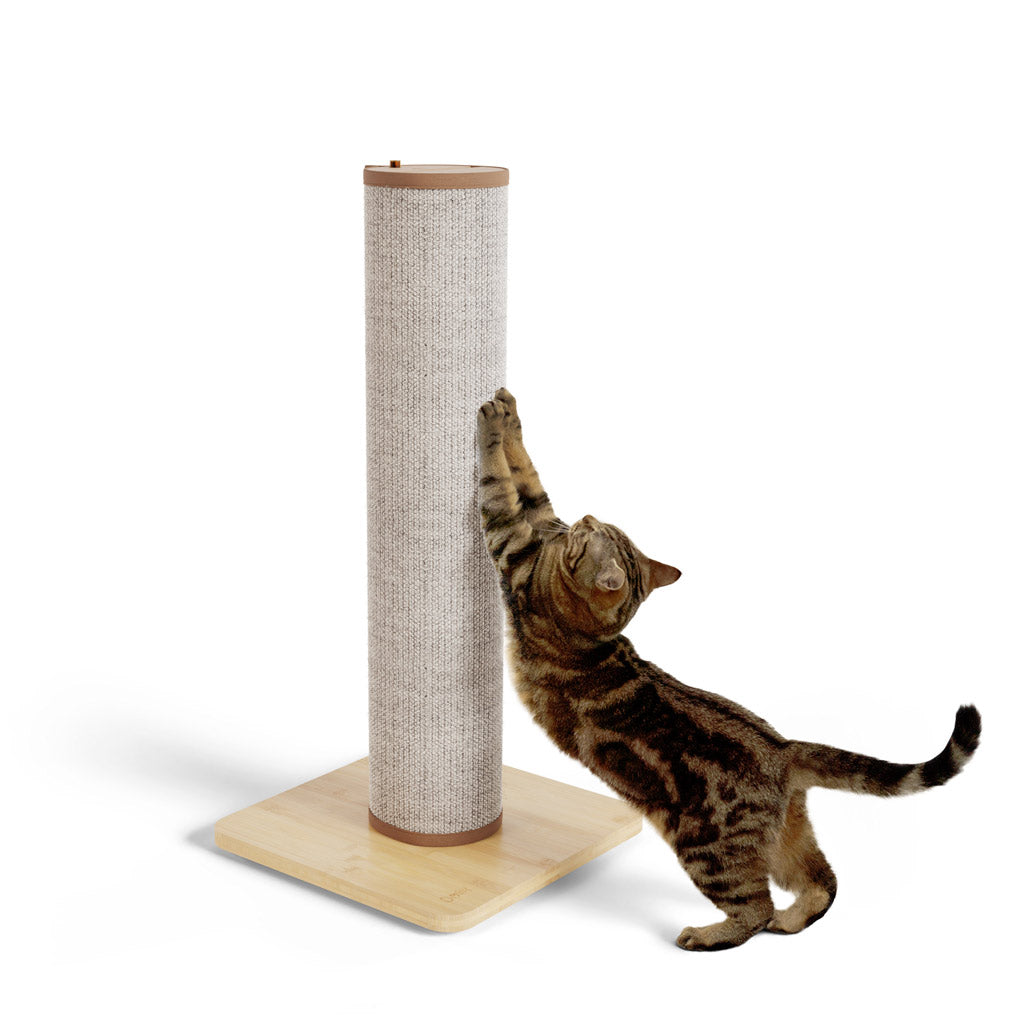 Switch Light Up LED Cat Scratching Post cream colour 