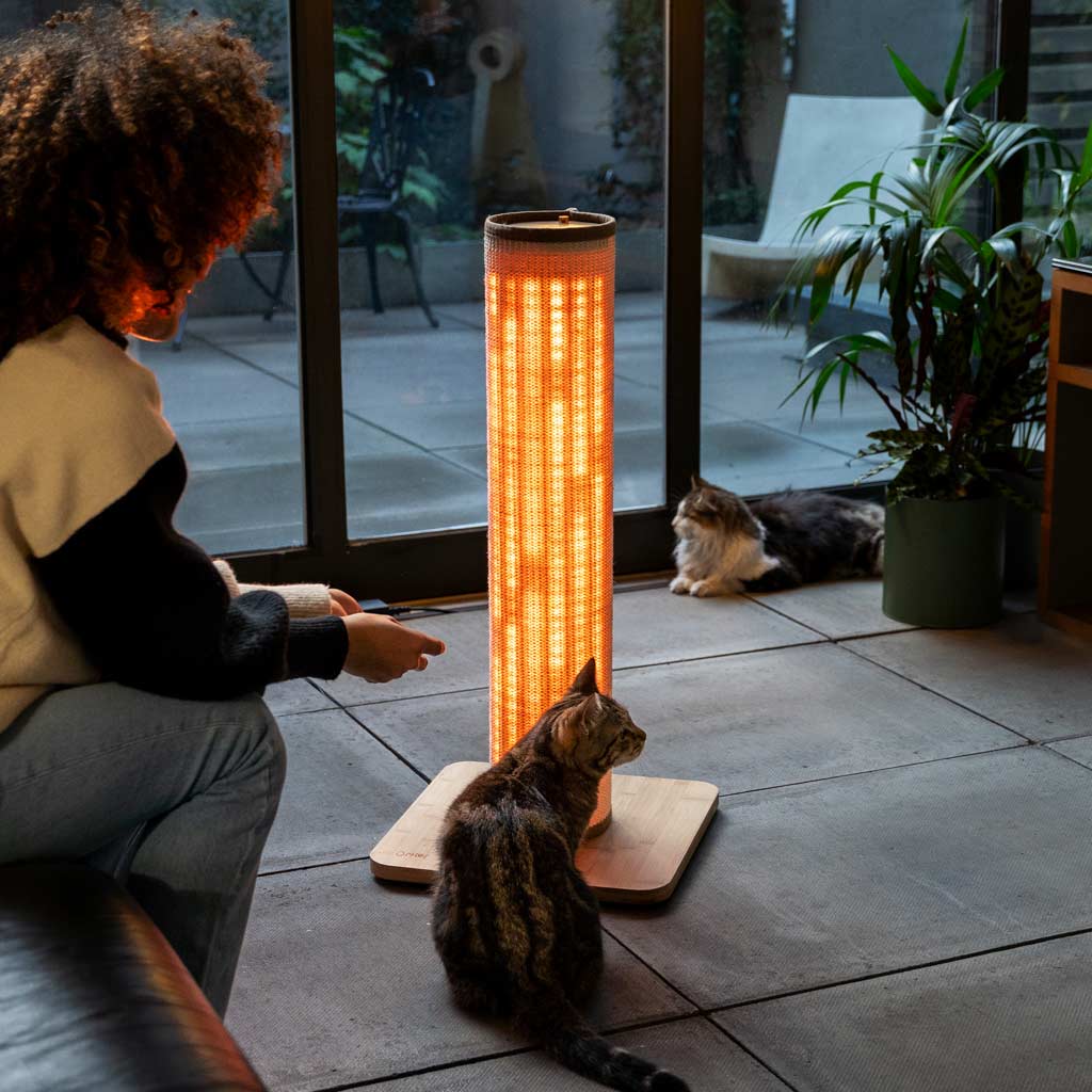 Cats and people alike enjoying the Switch Light Up LED Cat Scratching Post