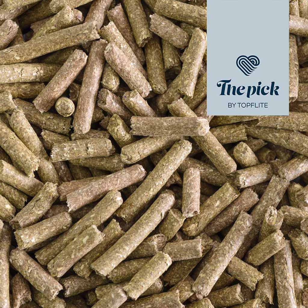 The Pick - Fibre Feast for Guinea Pigs pellets | Topflite 