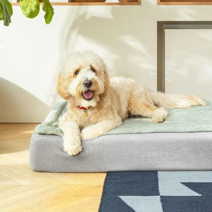 Topology Dog Bed with Quilted Topper