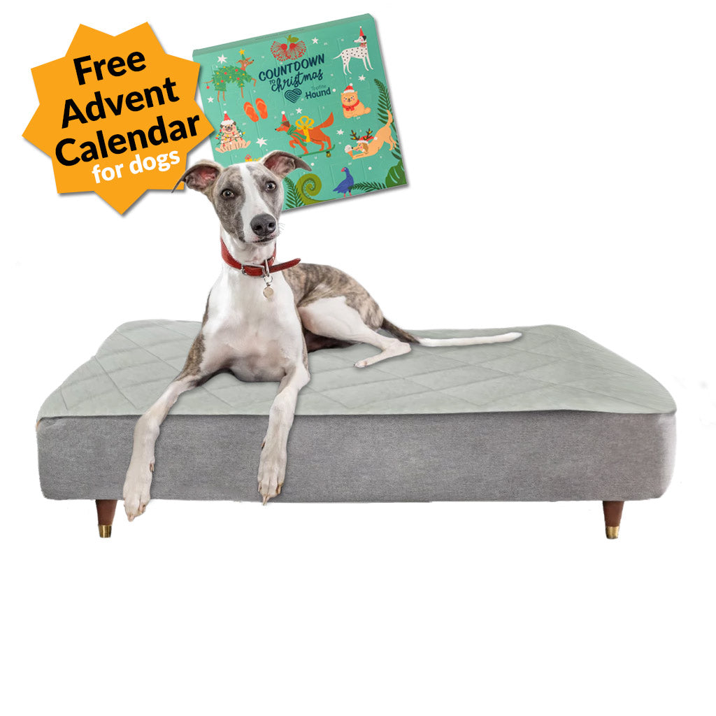 Topology dog bed promotion