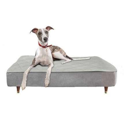 Give your dog a Topology bed with removeable, washable toppers