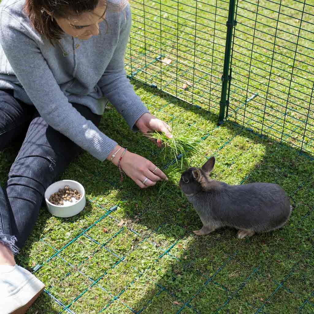 The Omlet Outdoor Run is extendable in width, length and height, making it suitable for every breed of guinea pig and rabbit