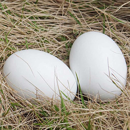 Wooden Nest Eggs (A Pair)
