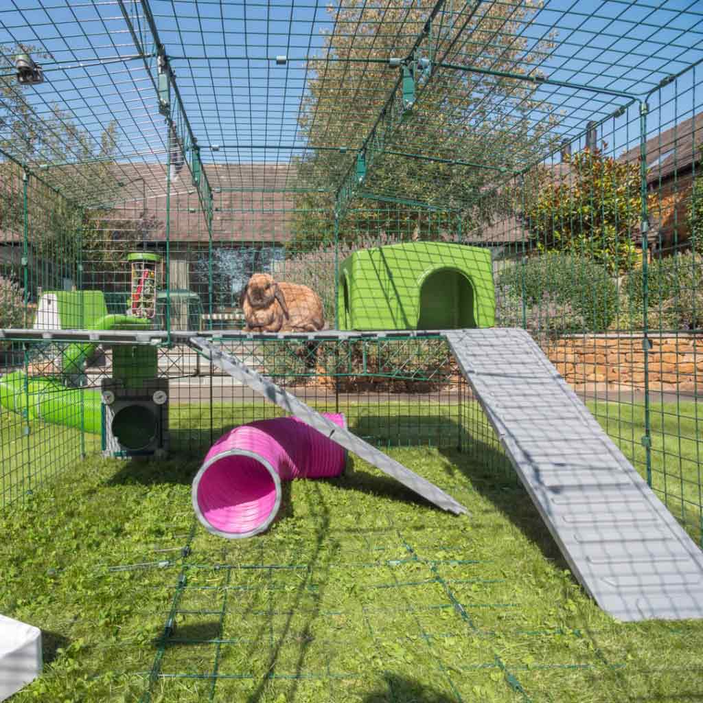 Zippi Platforms enrich your bunny’s run with new areas to explore