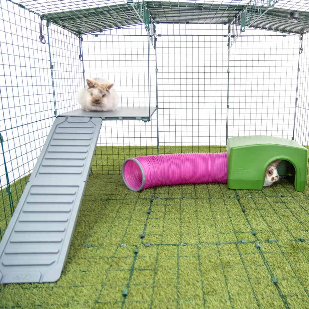 Zippi Platforms enrich the run with new levels to exercise and relax