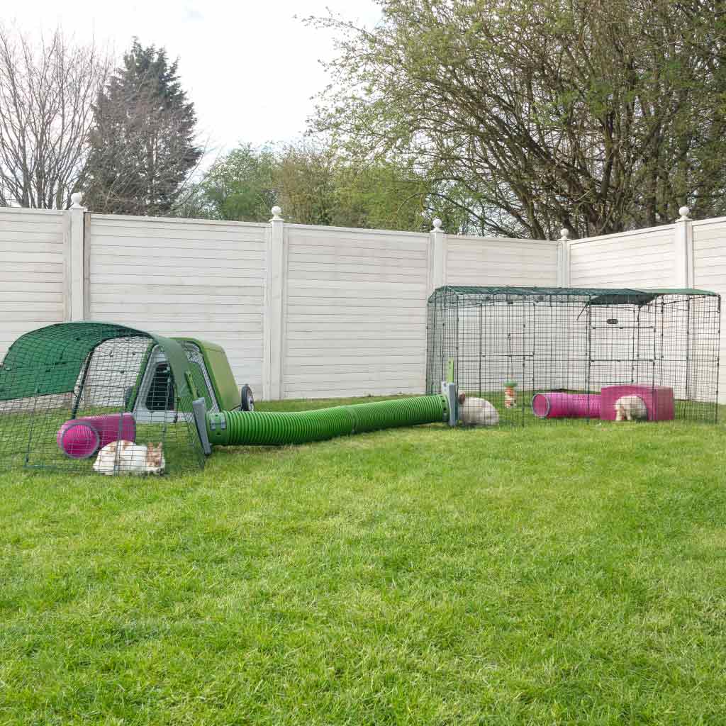 Zippi Runs & Playpens are great for interactive play and socializing