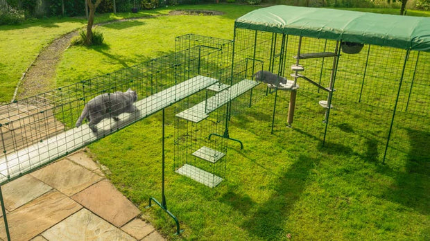 build an adventure playground for your cats using the omlet catio tunnel system