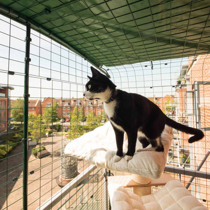Omlet’s Cat Balcony Enclosure provides a simple and elegant solution to give your space a complete cat proof balcony