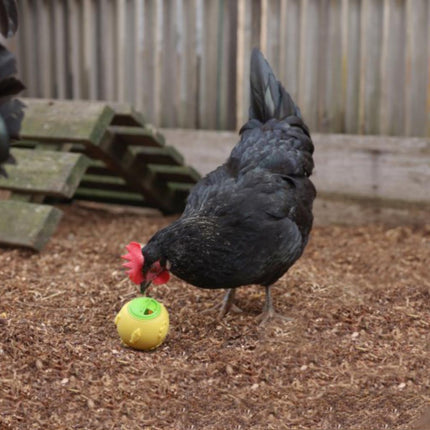 Chicken Treat Ball | Kerbl